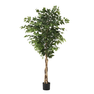Artificial Tree 71.00 In Height, With Graceful Appearance And Iron + Plastic Construction, Pre - Potted For Space Transformation Tall Tree, Twisted Trunk, Glossy Foliage, Potted, Plastic, Interior