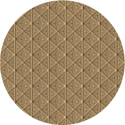 Indoor Rug