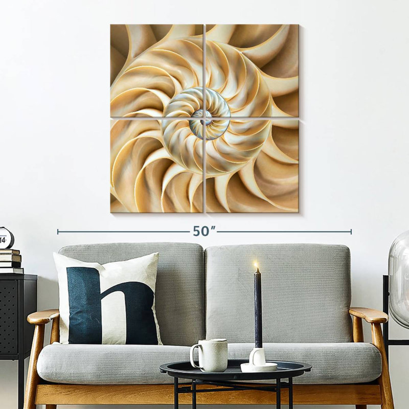 Nautilus Symmetry