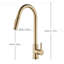 Aliette Modern Brushed Gold Kitchen Sink Mixer Tap Pull Out Sprayer Swivel Single Handle