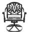5-Piece All-Weather Cast Aluminum Dining Set, Include 4 Swivel Chairs and  Rectangular Table With Black Frame (same sku:W1710S00451)