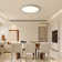 Deshunda 1 - Light 19.7" Simple Round Acrylic LED Flush Mount