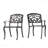 2-Piece Set Patio Chair Austin