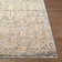 Misterio Plus Traditional Area Rug