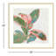 «Pink Ficus I» par Asia Jensen, reproduction d'art encadrée-2007270772-2007270775
