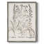 Sépia Besler Botanicals, reproduction d'art encadrée - bois massif-836841419