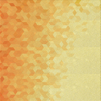 Indoor Rug