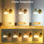 Armed Sconce-155718651