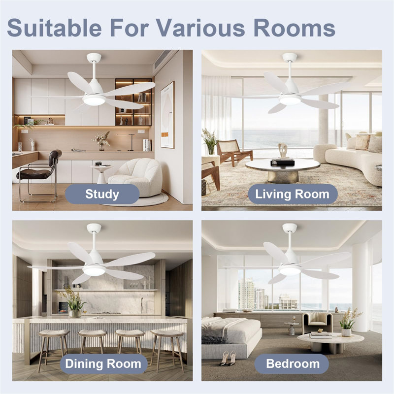 Ceiling Fan with Light Kit