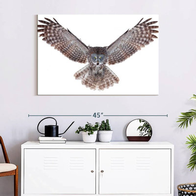 Owl Power