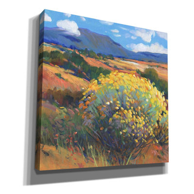 Chamisa II " Chamisa II " Painting