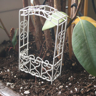 Jardin de fées