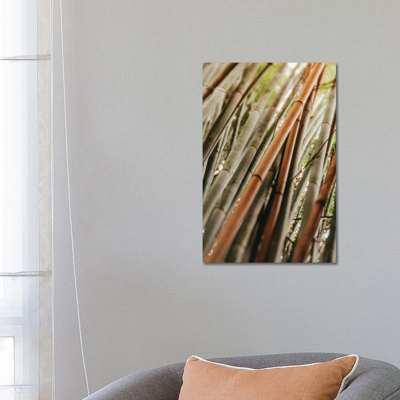 Bamboo Study LI - Wrapped Canvas Print, 66.04 cm H x 45.72 cm W x 1.91 cm D