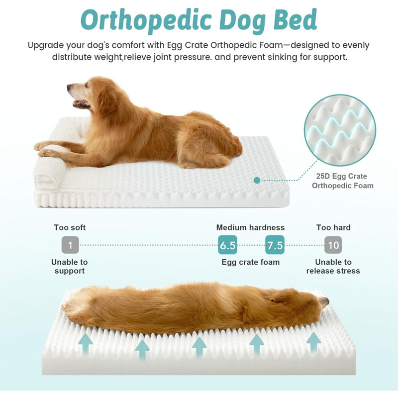 Pet Bed