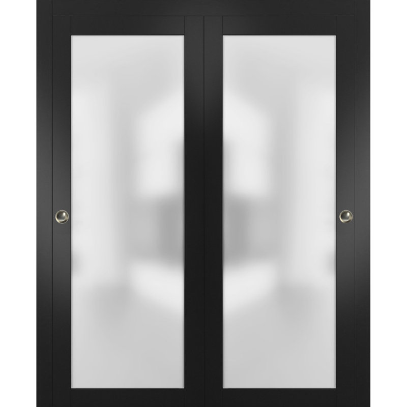 Portes coulissantes en verre givré Planum, Noir mat, 84 po x 84 po