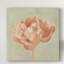 « spring pivoine i », peinture sur toile tendue-771026666