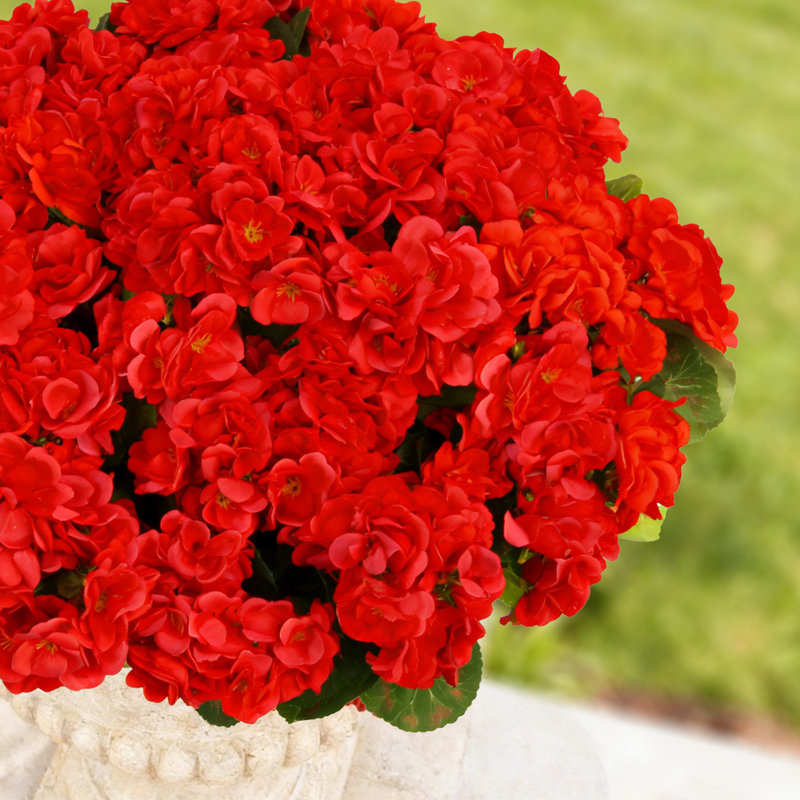 8 fleurs artificielles de géraniums artificiels pour l'extérieur, résistantes aux rayons UV