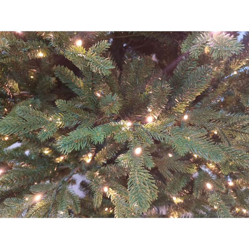9-Foot Green Oregon Pine Christmas Tree with Warm White LED Lights