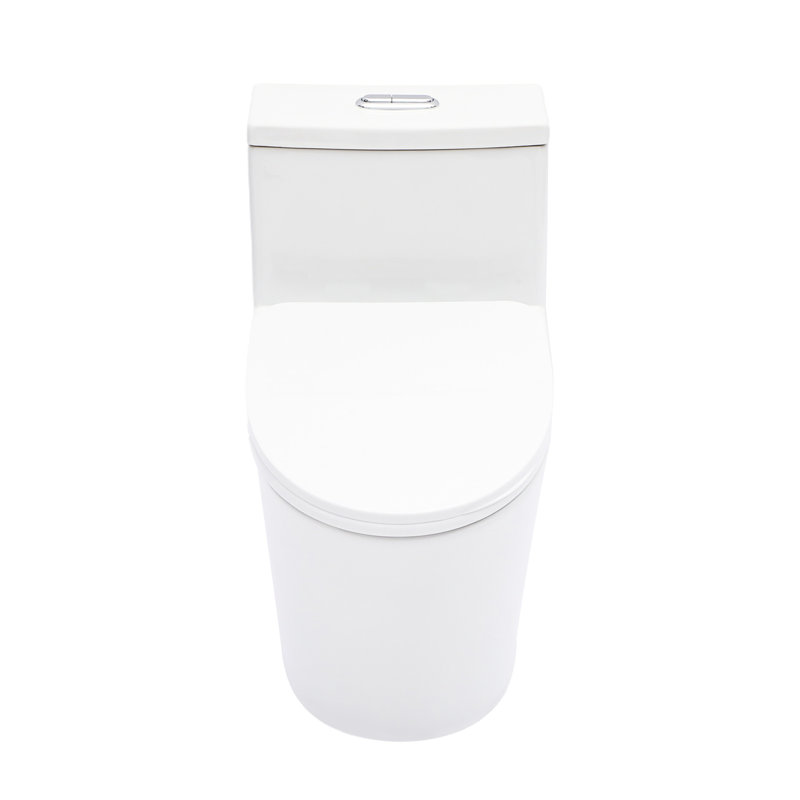 One Piece Ceramic Toilet 12 - Inch Rough In, Dual Flush 1.24/1.43 , Soft Close Seat, 800G Map Rating, Non Porous Body For With Flush, Surface