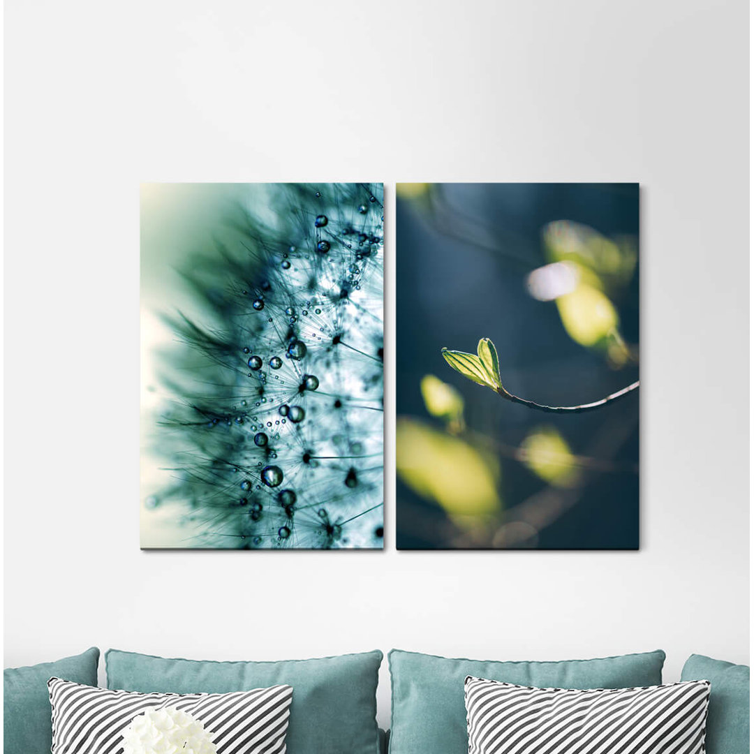 2-tlg. Leinwandbilder-Set - Grafikdruck „Blowball Branch Water Drops Spring Soft Plant”