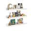 3 Piece Iron Floating Shelf