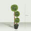 90 Plant