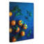 Fresh Oranges - Wrapped Canvas-55363892