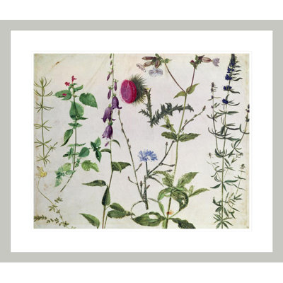 «Huit études de fleurs sauvages» par Albrecht Dürer, impression giclée sur cadre