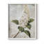 Série FLORAL CCLX - reproduction encadrée de qualité supérieure - prête à être accrochée - aucun clou requis-2042163554-2042163552