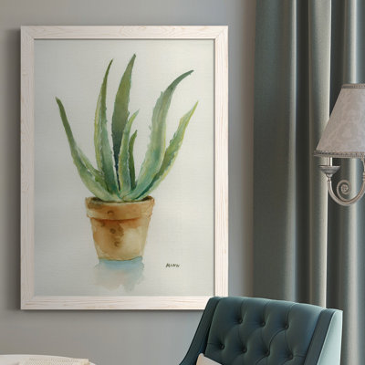 " Succulent IV "