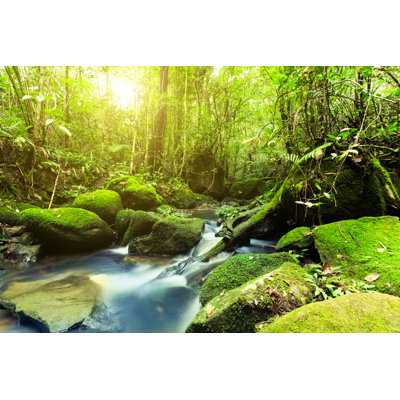 Jungle At Sunrise by Zodebala - Wrapped Canvas Print