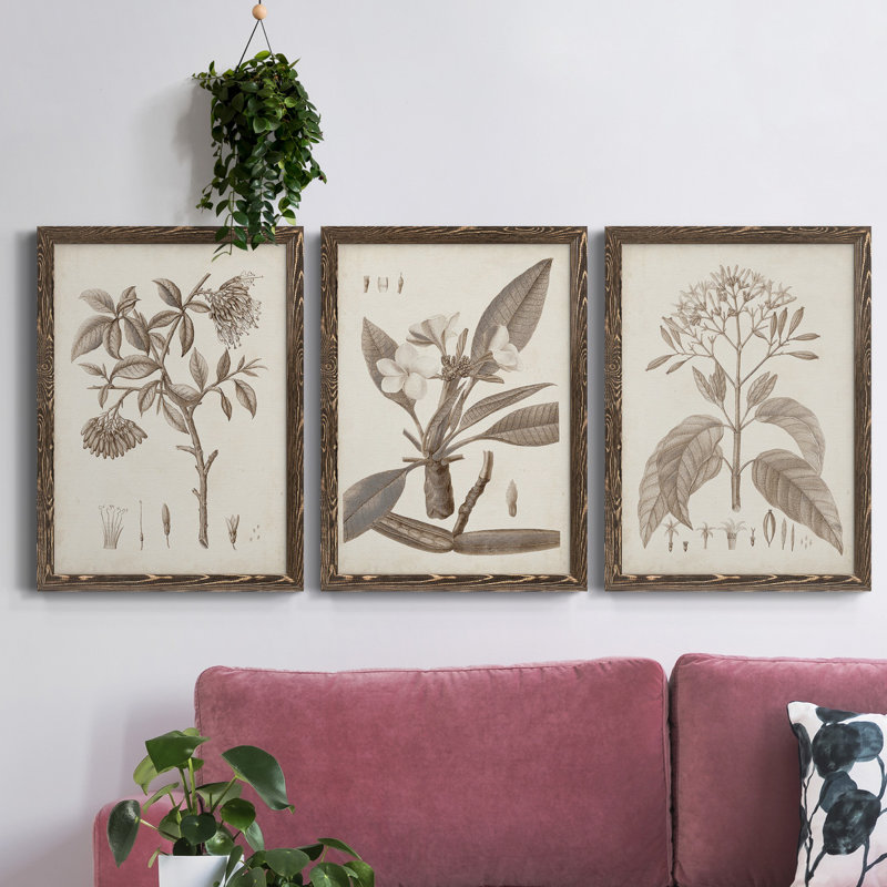 Antique sépia botanicals I - ensemble de 3 reproductions d'art sur toile, Noyer, H 31,5 po x l 47 po x P 1,5 po