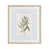 Harvest Pine Frame