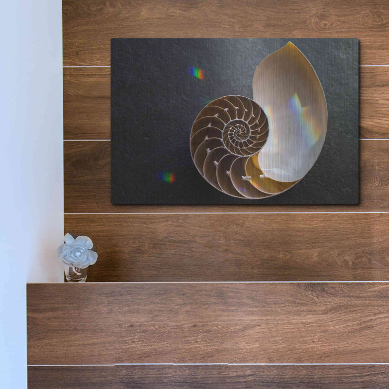 " Sacred Geometry Nautilus Shell " by Elena Ray, 12" H x 16" W