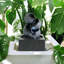 Modern & Weather Resistant Clumm Tabletop Fountain with Light – Relaxing Waterfall Sounds for Indoor or Outdoor Home Décor
