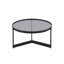 Three Leg Coffee Table-70211109