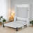 Queen Size Wood Murphy Bed with Desk