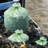 Stout® EcoSafe-6400™ Compostable Bags 64 Gallons Plastic Odor Resistant Compost Bag