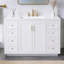 Single Bathroom Vanity with Top