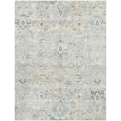 Amaurion Traditional Machine Woven Area Rug