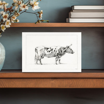 Vache debout