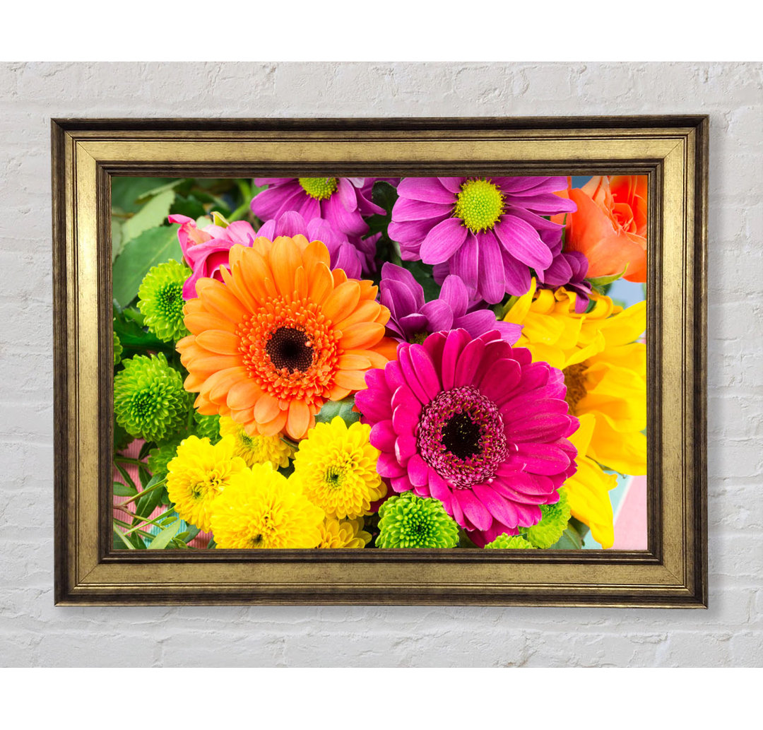 Gerbera Flower Mix - Drucken