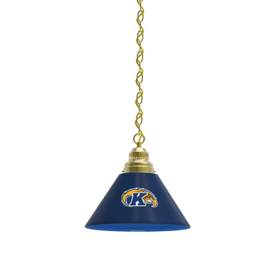 1 - Light Single Pendant