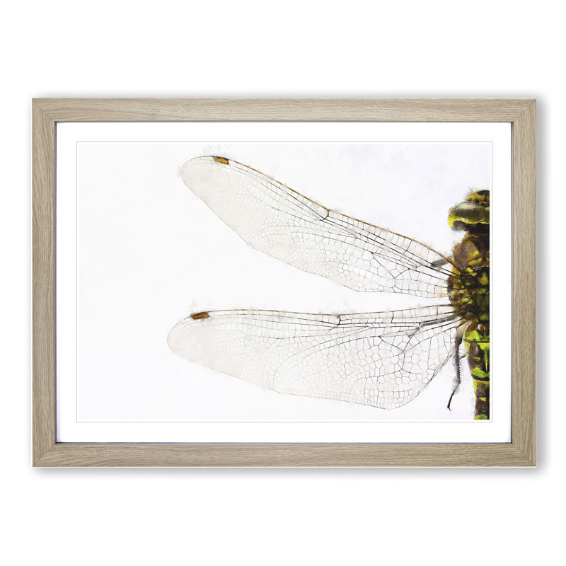 Dragonfly Vol.1 - Picture Frame Painting, Oak Framed, 48cm H x 65cm W x 2cm D