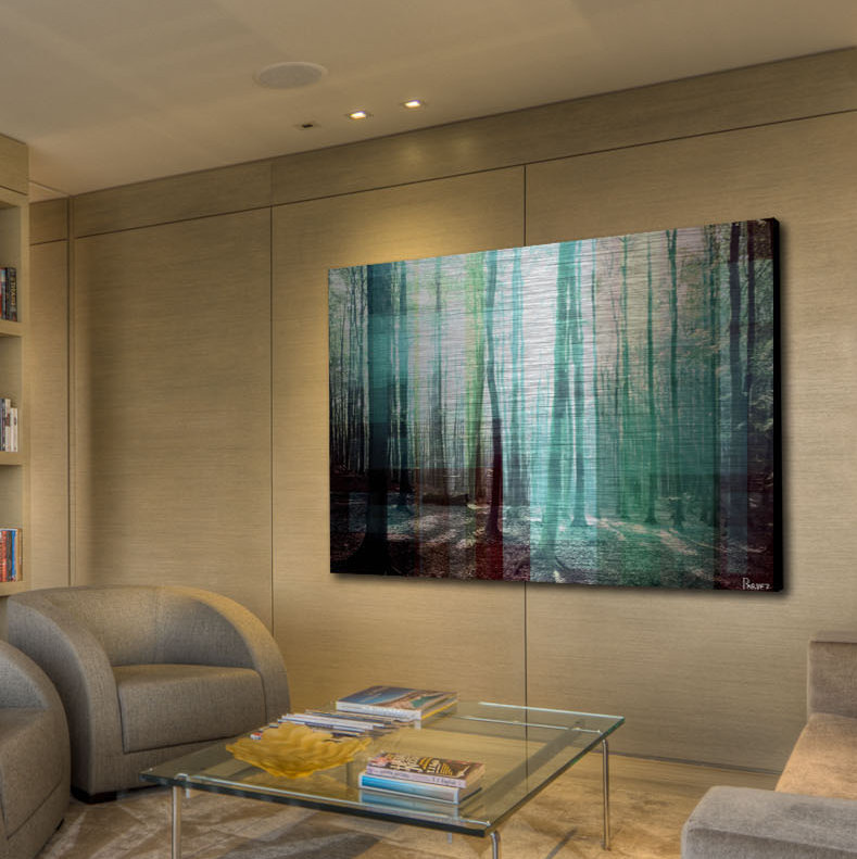 Reproduction de photo sur métal, "tree rays" par parvez taj, 24 po x 36 po