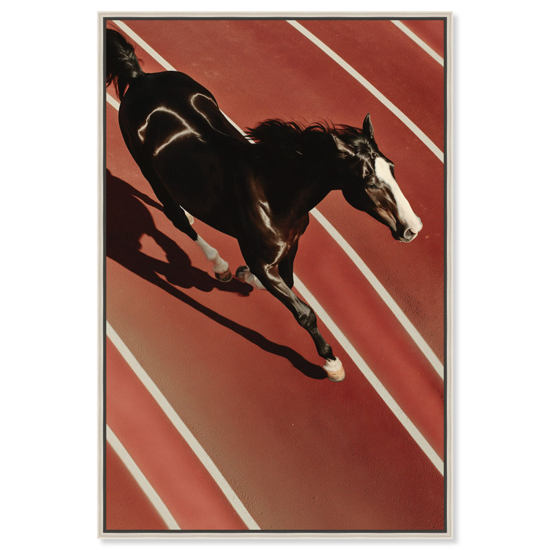 Velocity Vector Print by Oliver Gal, 37"H x 55"W, Silver Floater Frame