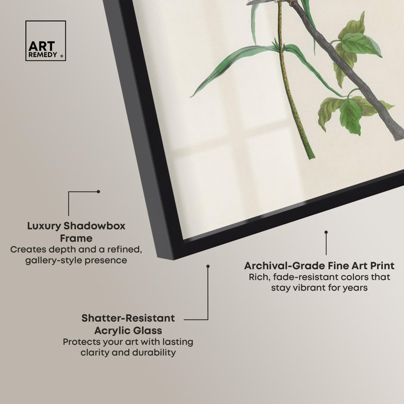 Reproduction audacieuse par Audubon par Art Remedy, H 25 po x l 17 po, Noir
