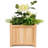 Bay Point Wood Planter Box