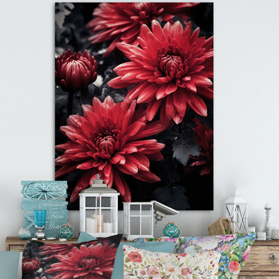 «Red Gray Mums Spendor», reproduction sur toile