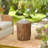 Tree Stump Stool Decorative Side Table With Round Tabletop End Table Outdoor Coffee Table